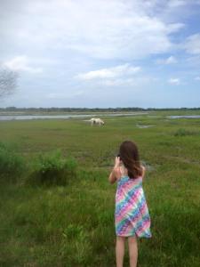 11036495_10205932977115101_6334360454755001127_n