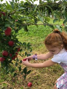 70120598_2314180261963100_2347661550996684800_n